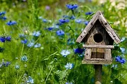 mygreenlifestyle birdhouse bird house